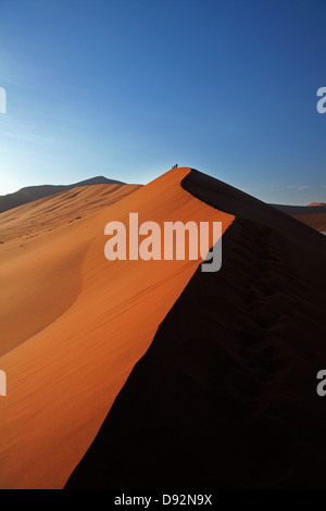 Famiglia di arrampicata duna di sabbia accanto a Deadvlei, vicino al Sossusvlei, Namib-Naukluft National Park, Namibia, Africa Foto Stock