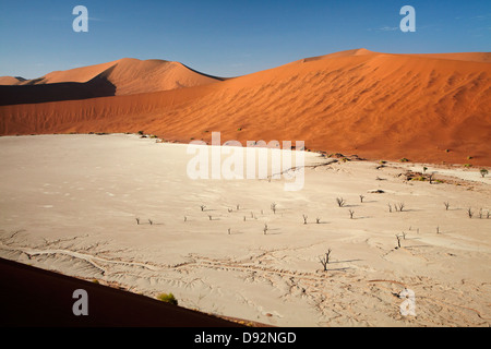 Gli alberi morti (pensato per essere di 900 anni) e dune di sabbia a Deadvlei, Namib-Naukluft National Park, Namibia, Africa Foto Stock