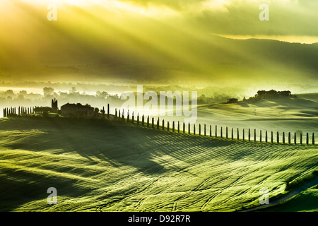 Splendido sole primaverile sopra la valle di San Quirico d'Orcia Foto Stock