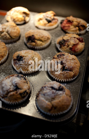 Un vassoio da forno di muffin al lampone Foto Stock