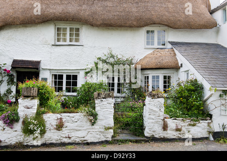 Con il tetto di paglia cob cottage. Kingston, Devon, Inghilterra Foto Stock