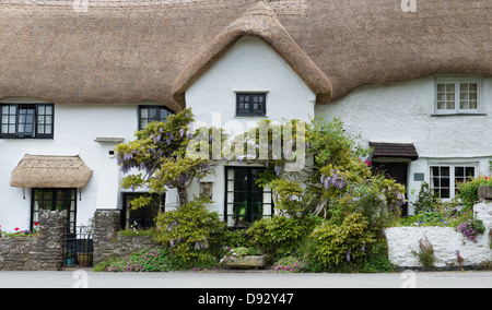 Con il tetto di paglia cob cottage. Kingston, Devon, Inghilterra Foto Stock