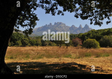 Aiguilles de Bavella, vista da Quenza, Col de Bavella, Alta Rocca Regione, Corse-du-Sud, Corsica, Francia Foto Stock