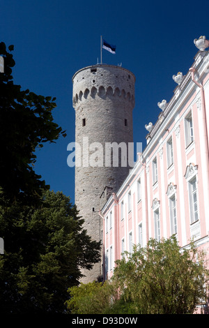 La collina di Toompea, Tallinn, Estonia. Foto Stock