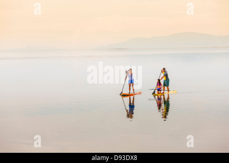 Famiglia equitazione paddle boards Foto Stock