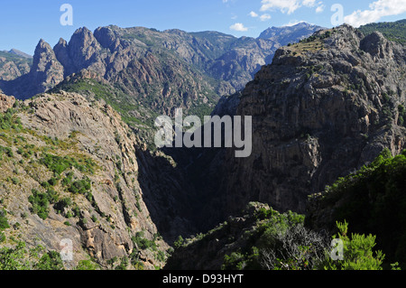 Spelunca Gorge, vicino Evisa, Corsica, Francia Foto Stock