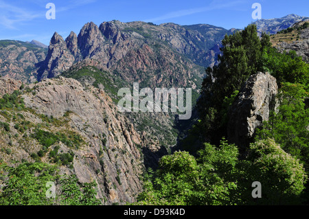 Spelunca Gorge, vicino Evisa, Corsica, Francia Foto Stock