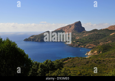 Capo Rosso, Corsica, Francia / Capo Rosso, Korsika, Frankreich Foto Stock
