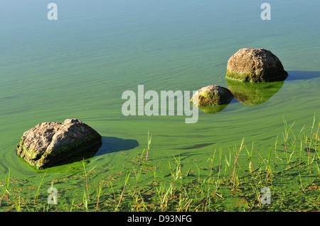 Il lago del Coghinas, a ovest di Oschiri, Anglona, Sardegna, Italia Foto Stock