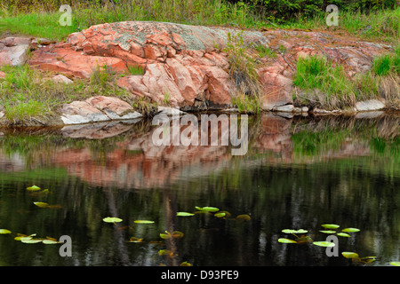 Scudo canadese affioramenti granitici si riflette in una beaver pond Killarney Provincial Park Ontario Canada Foto Stock