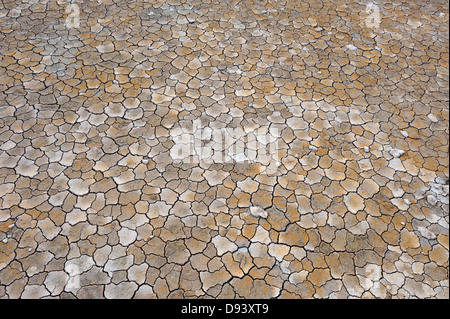 Vista di essiccato incrinato il suolo Foto Stock