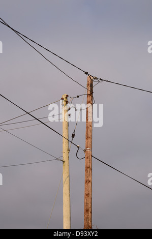 Elettrico e telefonico i cavi collegati ai nuovi e vecchi pali telefonici fianco a fianco, Wales, Regno Unito. Foto Stock