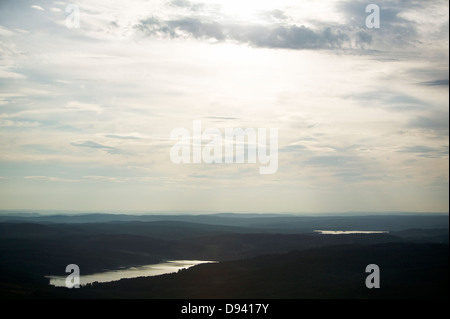 Mare nel paesaggio boschivo, Sunne, Varmland, Svezia. Foto Stock