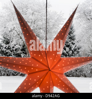 Avvento star lampada a sospensione, foresta invernale in background Foto Stock
