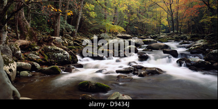 Polo Centrale piccolo fiume, Great Smoky Mountains National Park, Tennessee, Stati Uniti d'America. Foto Stock