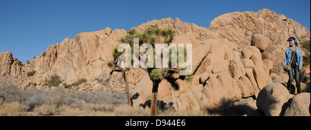 Parco nazionale di Joshua Tree prende il nome da un membro della famiglia delle agavi offre oltre 800.000 acri di terreno accidentato in California Foto Stock