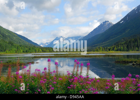 Alaskan paesaggio del lago Tern sulla Penisola di Kenai durante la primavera con le montagne e fiori Foto Stock