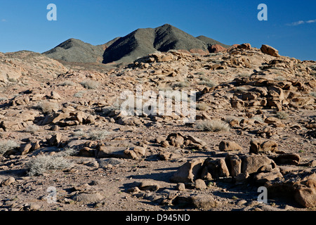 Vasto paesaggio, il nord-ovest della Mongolia. Foto Stock