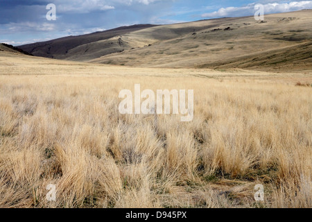 Paesaggio arido, il nord-ovest della Mongolia. Foto Stock
