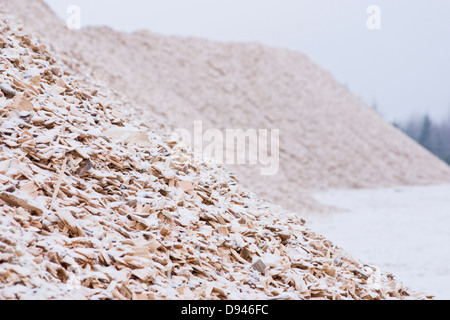 Produzione di trucioli di legno, Svezia. Foto Stock