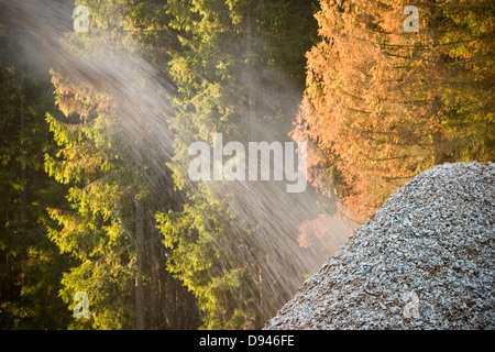 Produzione di trucioli di legno, Svezia. Foto Stock