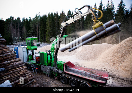 Produzione di trucioli di legno, Svezia. Foto Stock