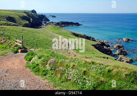 Lungo la costa sud occidentale il sentiero sulla penisola di Lizard, Cornwall, Regno Unito Foto Stock