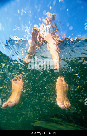 Una donna di nuoto in fioritura algale acqua del Mar Baltico. Foto Stock