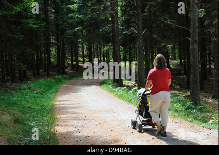 Madre con bambino nella PRAM passeggiando nella foresta Foto Stock