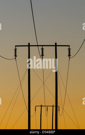 Silhouette di pilone dell Foto Stock