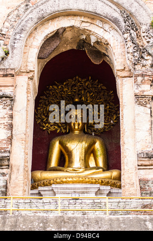 Statua di Buddha In Chedi , Wat Chedi Chiangmai polmonare Foto Stock