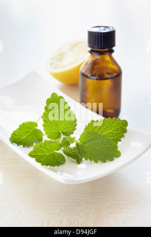 Melissa, erbe aromatiche, limone e una bottiglia di olio aromatico per aromaterapia Foto Stock