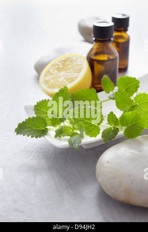 Rametto di melissa, erbe aromatiche fresche, limone e bottiglie di olio essenziale per aromaterapia Foto Stock