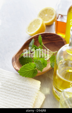 Rametto di balsamo di limone in una ciotola, erbe, asciugamano, un limone e bottiglie di olio essenziale per aromaterapia Foto Stock