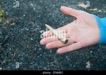 Un britannico 303 bullet trovati su somme Battlefied vicino Mametz, Piccardia, Francia Foto Stock