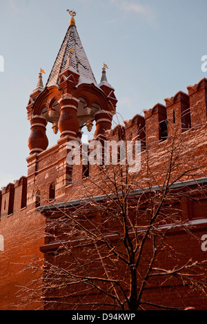 Torre tsarskaya, il Cremlino di Mosca, Russia Foto Stock