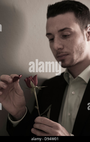 Ritratto di giovane uomo spiumatura petali di rosa rossa, Studio Shot Foto Stock