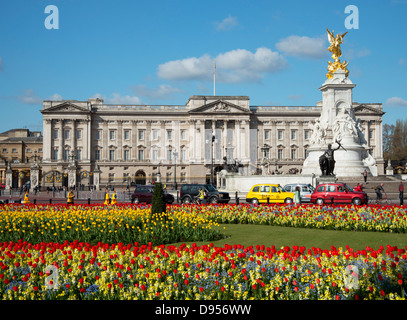 Rosso e tulipani gialli e i taxi di fronte a Buckingham Palace in aprile. Londra, Regno Unito Foto Stock