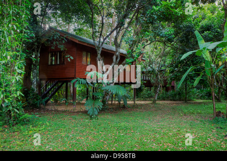 TREE CASE sono la specialità del nostro JUNGLE HOUSE un lodge nella foresta pluviale vicino a Khao Sok NATIONAL PARK - SURATHANI PROVENCE, TH Foto Stock