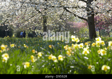 Estate nel Parco Foto Stock