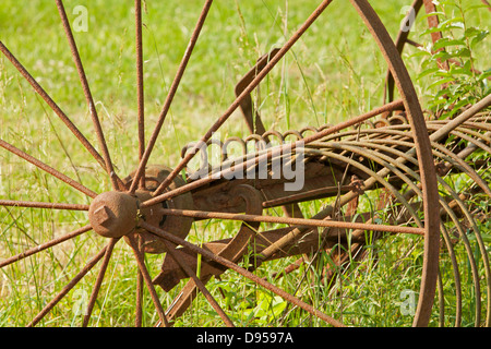 Azienda abbandonata e fieno rastrello in Paint Creek State Park, Ohio. Foto Stock