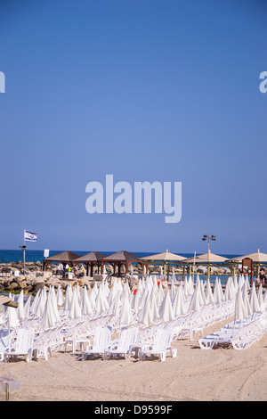 Ombrelloni e lettini sulla sabbia.Tel Aviv Foto Stock