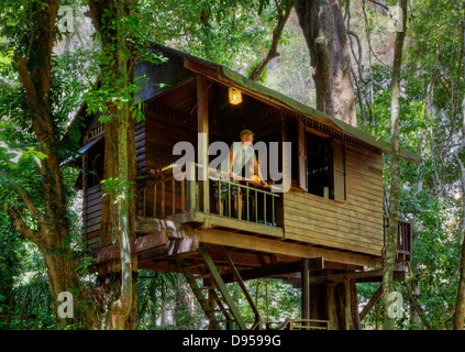 TREE CASE sono la specialità del nostro JUNGLE HOUSE un lodge nella foresta pluviale vicino a Khao Sok NATIONAL PARK - SURATHANI PROVENCE, TH Foto Stock