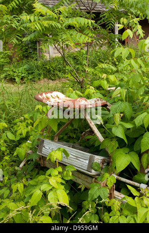 Azienda abbandonata e fieno rastrello in Paint Creek State Park, Ohio. Foto Stock