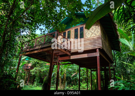 TREE CASE sono la specialità del nostro JUNGLE HOUSE un lodge nella foresta pluviale vicino a Khao Sok NATIONAL PARK - SURATHANI PROVENCE, TH Foto Stock