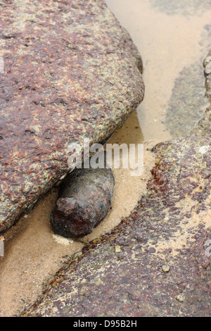 Vecchio mortaio inesplose. Kinmen County, Taiwan Foto Stock