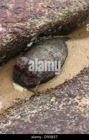 Vecchio mortaio inesplose. Kinmen County, Taiwan Foto Stock