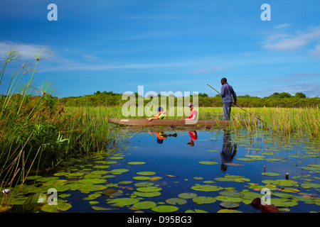 I turisti essendo polarizzato anche se ninfee in mokoro (piroga), Okavango Delta, Botswana, Africa Foto Stock