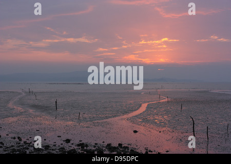 Un percorso di ostriche durante la bassa marea. Jincheng, Kinmen county, Taiwan Foto Stock