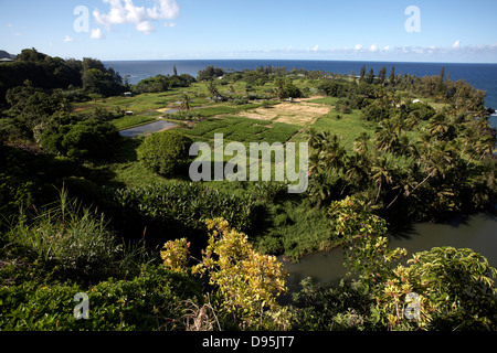 New Scenic 5 posti dalla strada di Hana Hawaii Maui Foto Stock